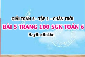 Giải bài 5 trang 100 Toán 6 Tập 1 SGK Chân trời sáng tạo